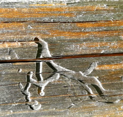 Borkoglyph : Grosser Hund - Kleiner Hund