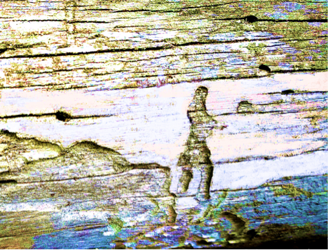 Borkoglyph. Der einsame Wanderer